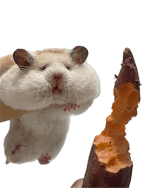 evil gerbil of greed and avarice