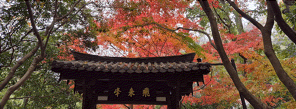 a chinese paifang in the middle of an autumnal forest