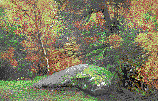 a mossy boulder in a nice autumnal forest
